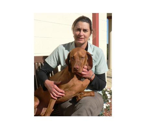 Moruya Veterinary Hospital - Moruya, NSW