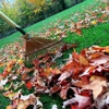 Emerald Cleaning Services & Lawn Care gallery