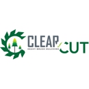 Clear Cut Heavy Brush Mulching - Tree Service