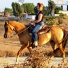 S&D Horseback Riding gallery