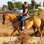 S&D Horseback Riding