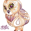 MyBF Illustration gallery