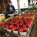 Dave & Gina Nelson Greenhouse - Greenhouses