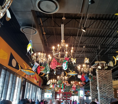 Dirty Al's Bayou Grill - Mcallen, TX