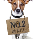 Pet Waste Removal MA - Pet Waste Removal