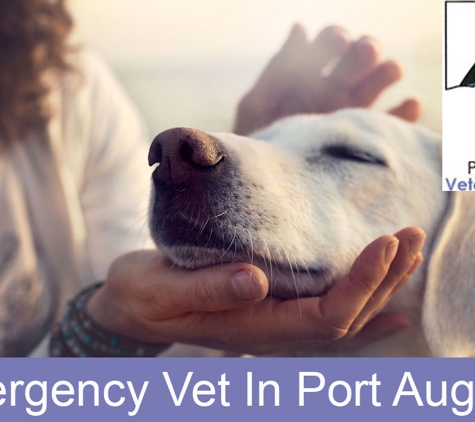Port Augusta Veterinary Services - Port Augusta, SA. Emergency Vet In Port Augusta