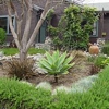ACE Tree Service & Landscaping gallery
