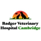 Badger Veterinary Hospital Cambridge