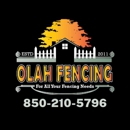 Olah Fencing