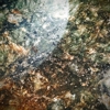 Pho 79 gallery