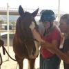 NDR Therapeutic Riding gallery