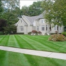 YARD DAWGS LLC - Lawn Maintenance