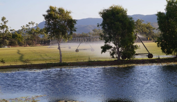 Great Northern Turf - Gumlow, QLD