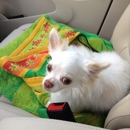 Kainer Veterinary Hospital - Veterinary Clinics & Hospitals