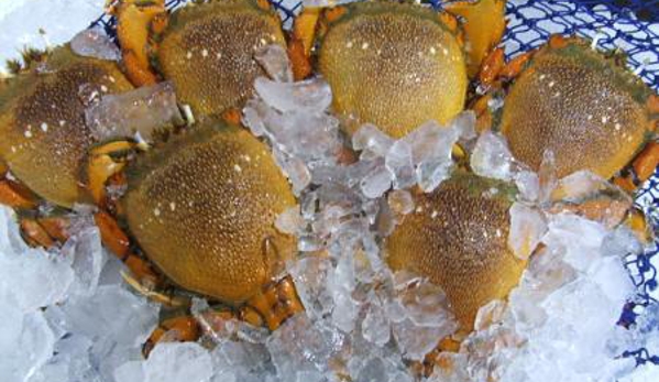 Urangan Fisheries - Callemondah, QLD