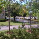 Palm Cove Condominiums - Condominiums