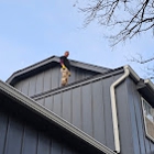 CBR roofing and Exteriors