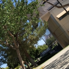 Csu San Bernardino