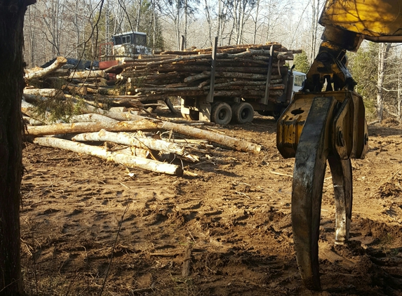 Mid South Sawmilling - Memphis, TN. Express logger looking work slash Timber cutter slash operator at all equipment