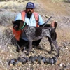 Hunting Dog Trainer.net gallery