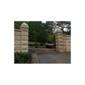 Gallery Image Number 4