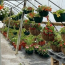 Green Leaf Nursery - Garden Centers