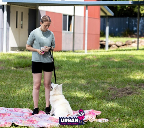 Urban Dog Training - Carindale, QLD