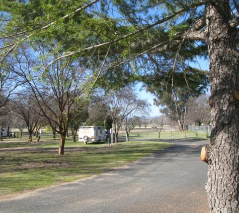 Manilla Rivergums Caravan Park - Manilla, NSW