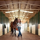 3F Ranch and Boarding - Horse Training