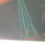 Photo #31