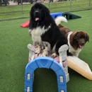Pampered Pets Bed & Biscuit