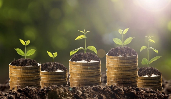 Midstate Financial Services