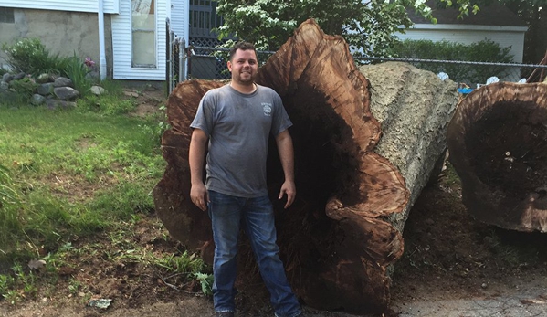 East Coast Tree Service LLC - Reading, MA