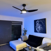 Gallery Image Number 5