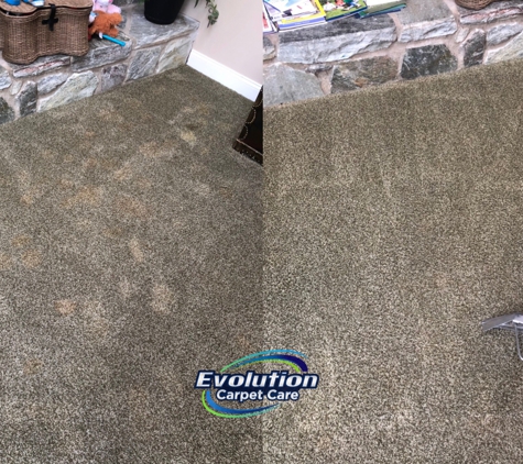 Evolution Carpet Care - Yonkers, NY