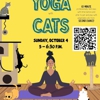 Bertha's Beans Cat Cafe gallery