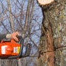 Lee's Tree Service - Tree Service