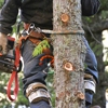 Cornerstone Tree Service gallery