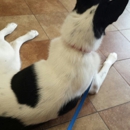 Banfield Pet Hospital - Veterinary Clinics & Hospitals