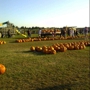 Hank's Pumpkintown‎