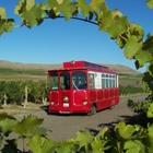 Fruit of the Vine Tours