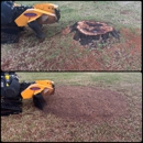 The Daily Grind - Stump Removal & Grinding