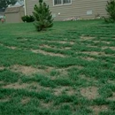 Top Flight Global Lawn Care - Lawn Maintenance