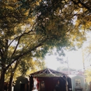 Common Grounds - Coffee & Tea