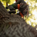 Majestic Tree Service - Tree Service