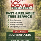 Dover Tree Service
