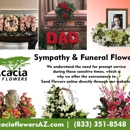Acacia Flowers - Florists