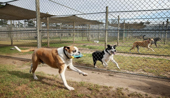 Peninsula Boarding Kennels - Moolap, VIC