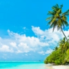 Robert Prentice Travel Bureau gallery