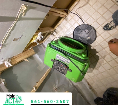 Mold Act of Boca Raton - Boca Raton, FL